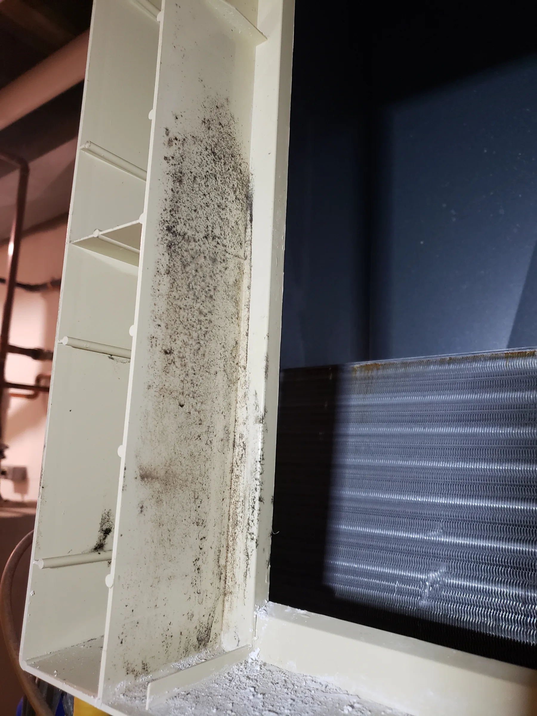 Black mold growing inside a furnace cabinet
