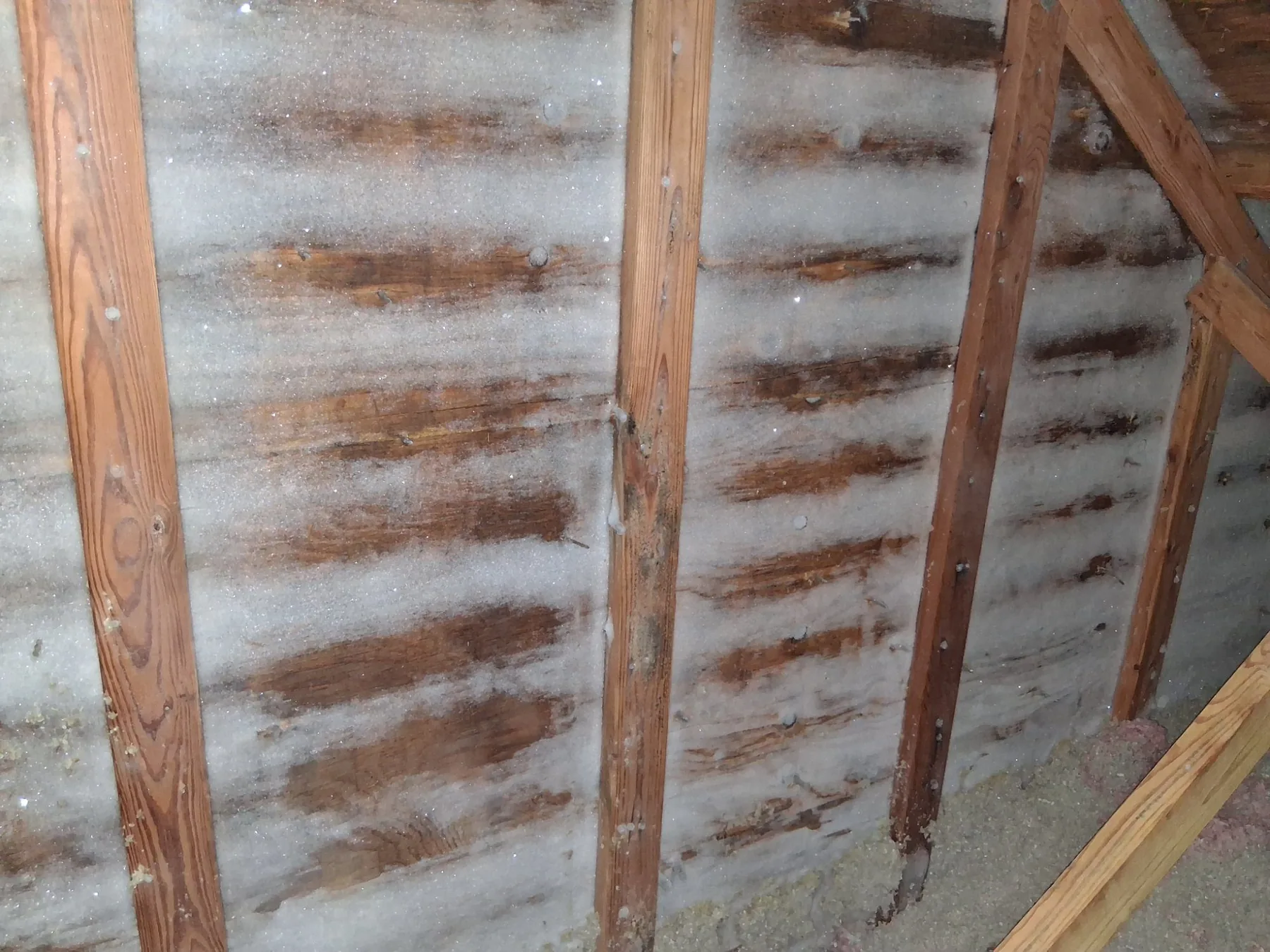 Mold on attic roof boards and rafters