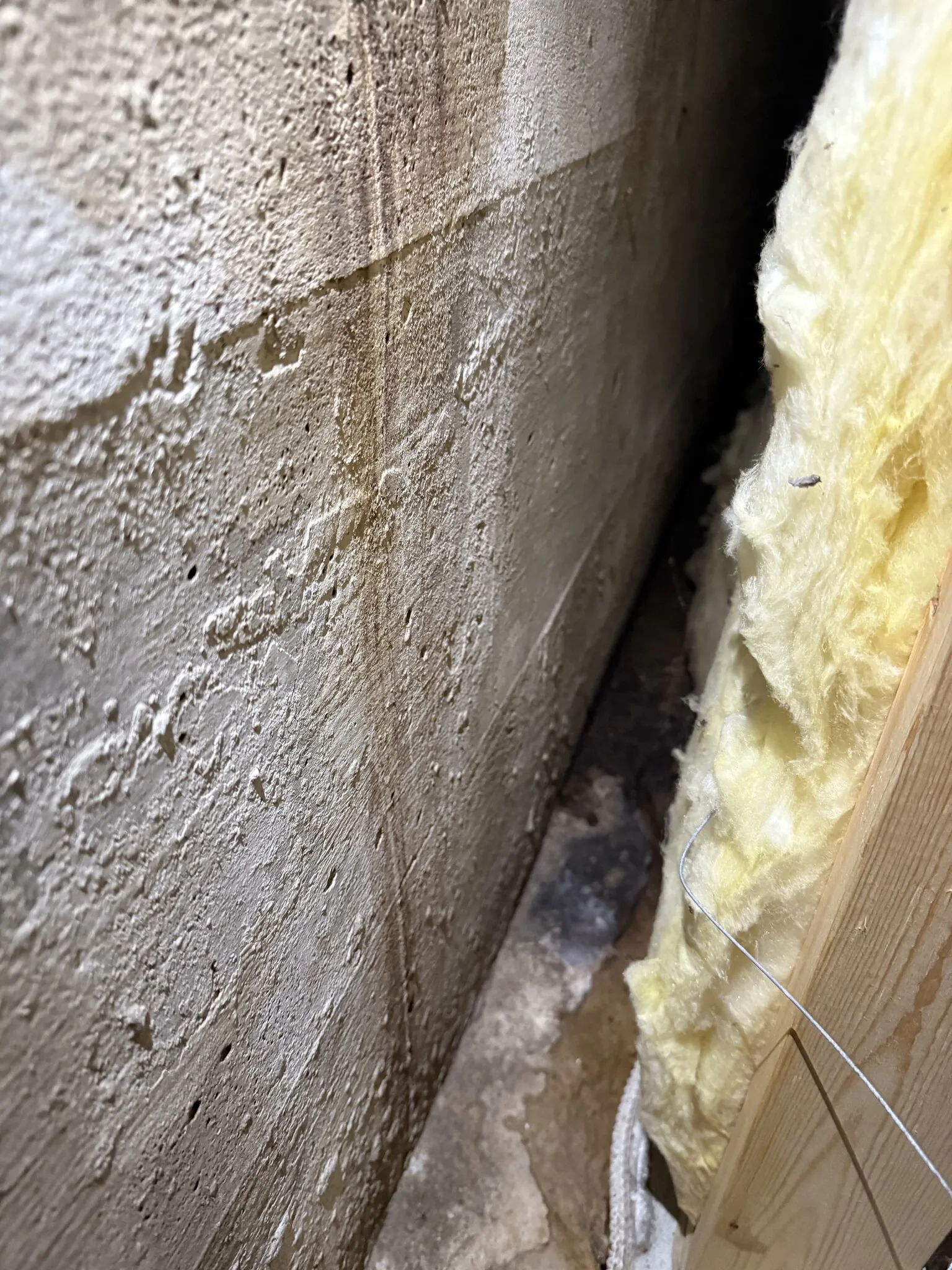 Mold inspection in a Madison home