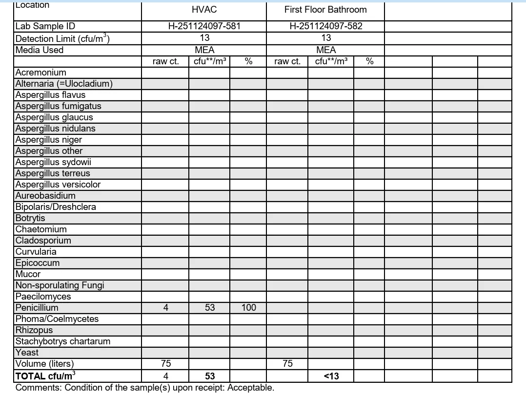 Lab report table of culture results for the HVAC and first floor bathroom samples