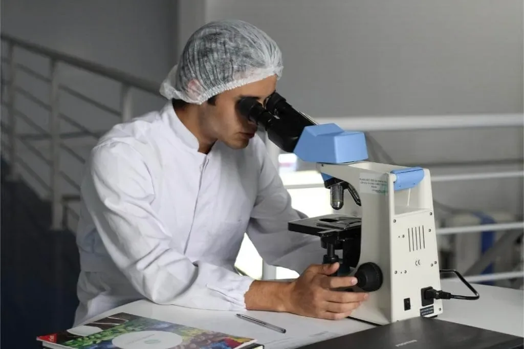 Samples being analyzed in a laboratory