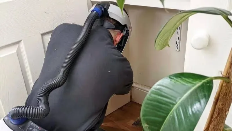 Inspecting a home for mold