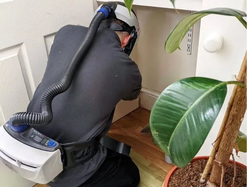 Mold inspection with a moisture meter