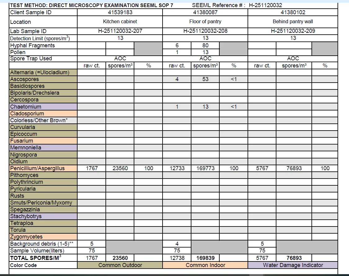 Lab report table of spore trap results, including 169,839 spores per cubic meter at the floor of the pantry