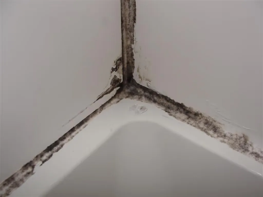 Mold in the corner seams of a shower