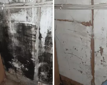 A moldy wall before and after treatment