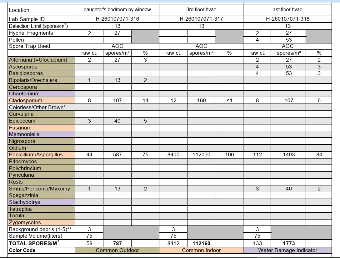 Lab report table of spore trap results, including 112,160 spores per cubic meter in the third floor HVAC