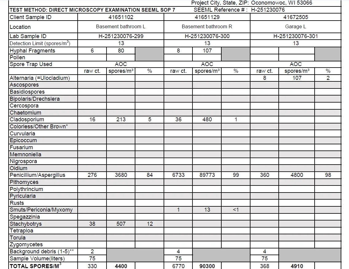 Lab report table of spore trap results for basement bathroom and garage samples